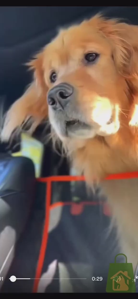 The seat cover fitted in the back of a real car, with a dog using it
